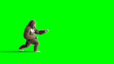 funny green screen backgrounds.